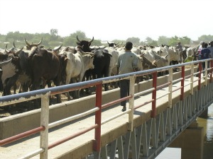 Exportation via le pont de Ngueli
